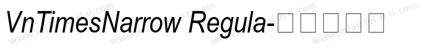 VnTimesNarrow Regula字体转换
